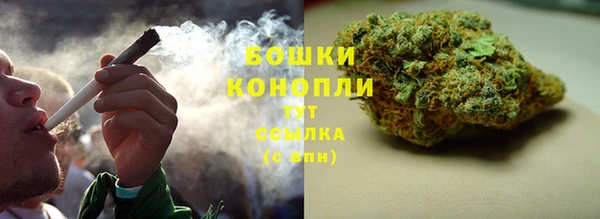 стафф Пересвет