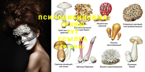 MDMA Армянск
