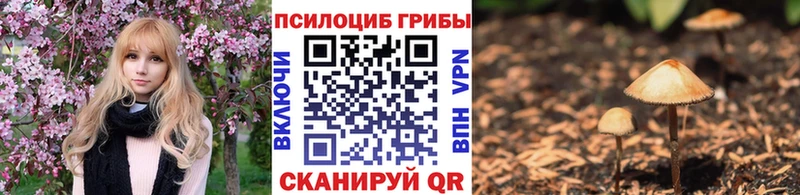 Псилоцибиновые грибы Psilocybe Сим